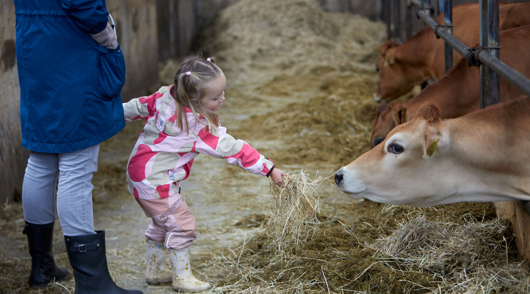 Auf Arla Höfen UNTERWEGS