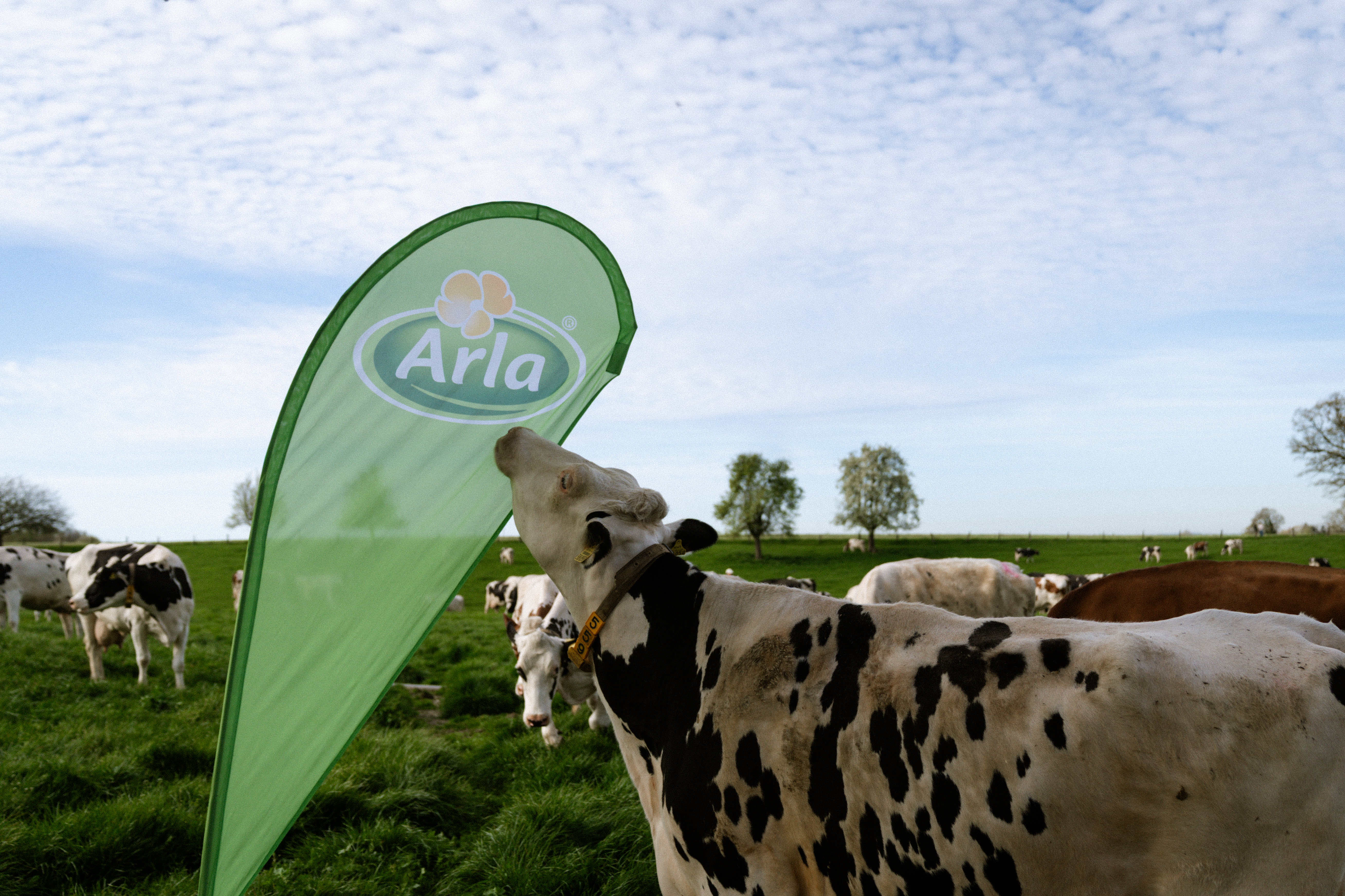 Arla Bilddatenbank