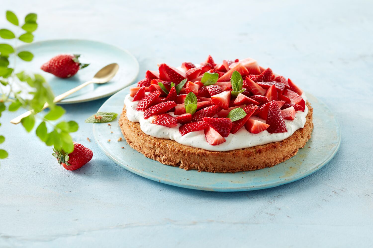 Erdbeer-Kuchen