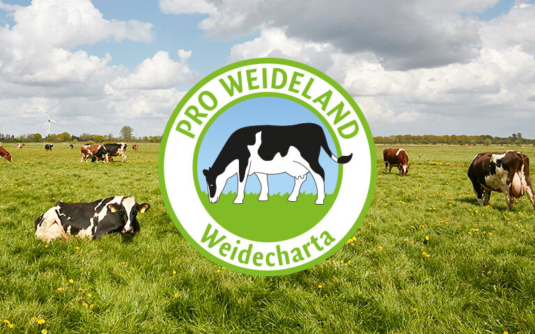 Unsere Weidemilch ist besonders