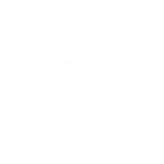 Keine Aktion mehr verpassen!
